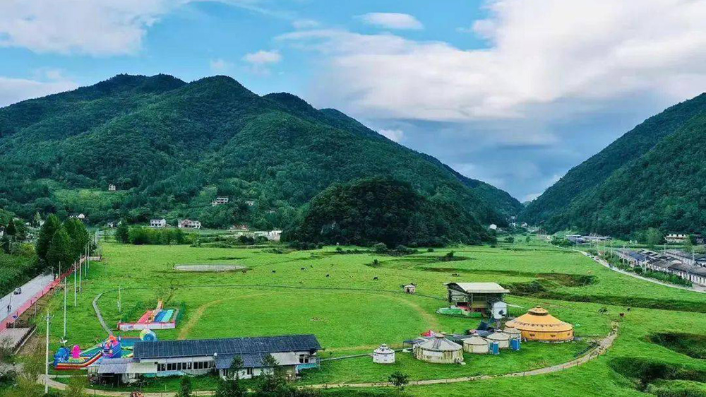 板橋鎮讓水壩南方草場.jpg