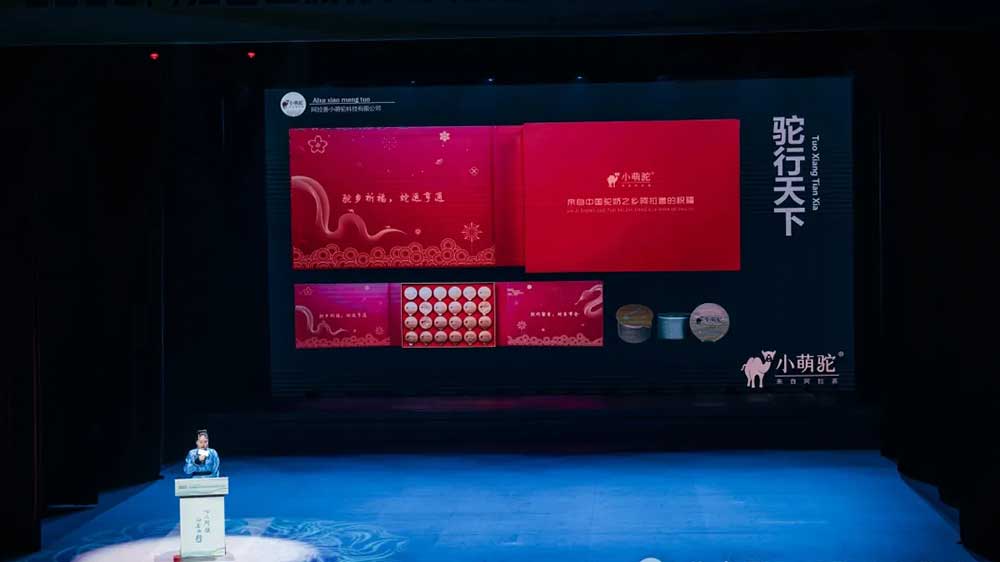 2025旅行商大會暨文化旅游資源推介洽談會現場推介.jpg